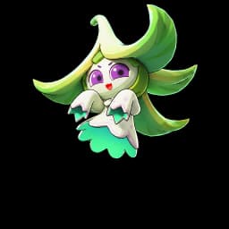 Spettrorchidea